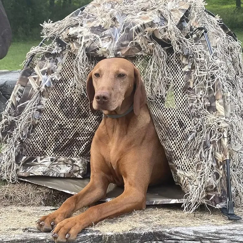 Outdoor Hunting Blinds - Tenda Persembunyikan Anjing untuk Berburu di