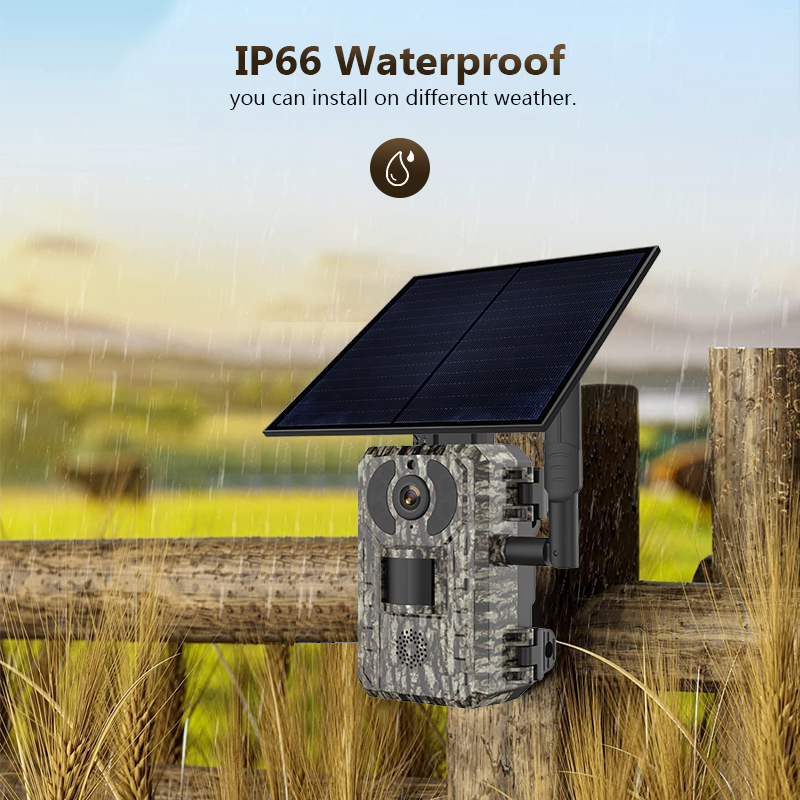 Outdoor Hunting Camera Wifi - Kamera pengintaian berburu satwa liar luar