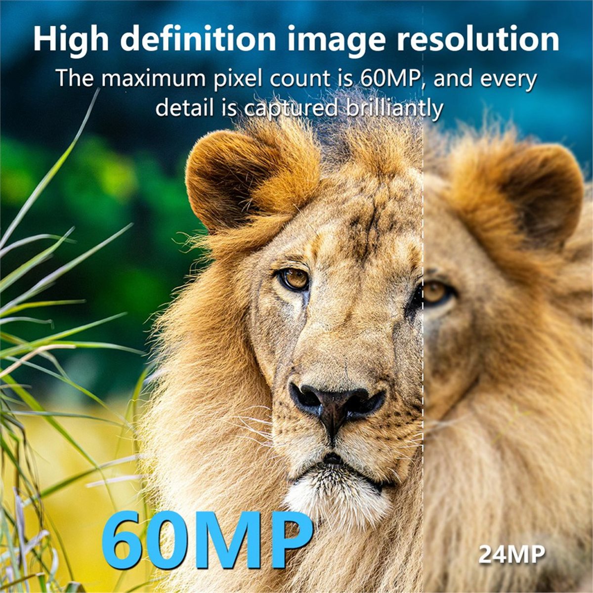 Kamera Berburu AS62 8K HD, Mon - Outdoor Hunting Camera Wifi ulasan dan harga